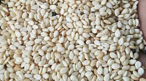 Ethiopian White Sesame Seed